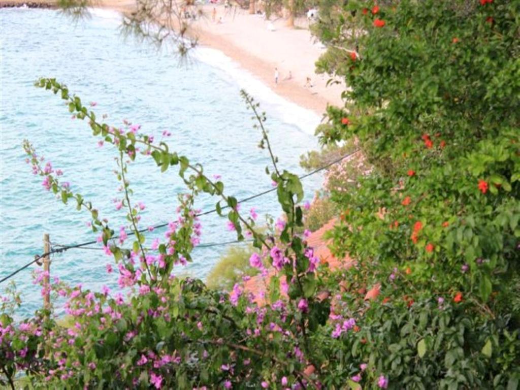 Apartment Maestral Trpanj